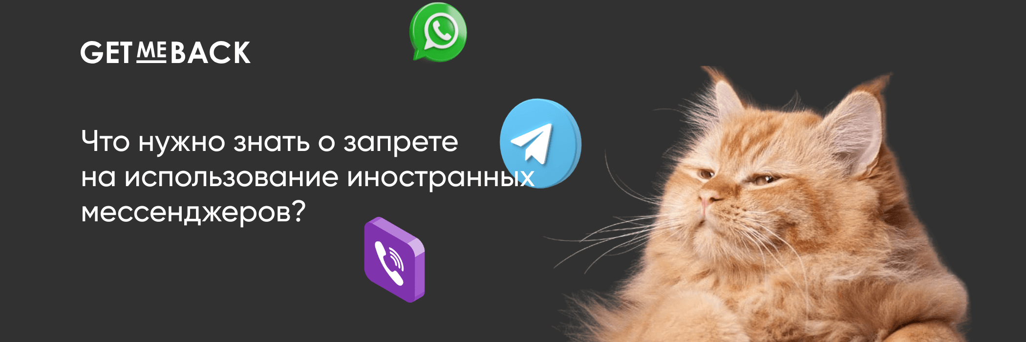 Главное о запрете на использование иностранных мессенджеров