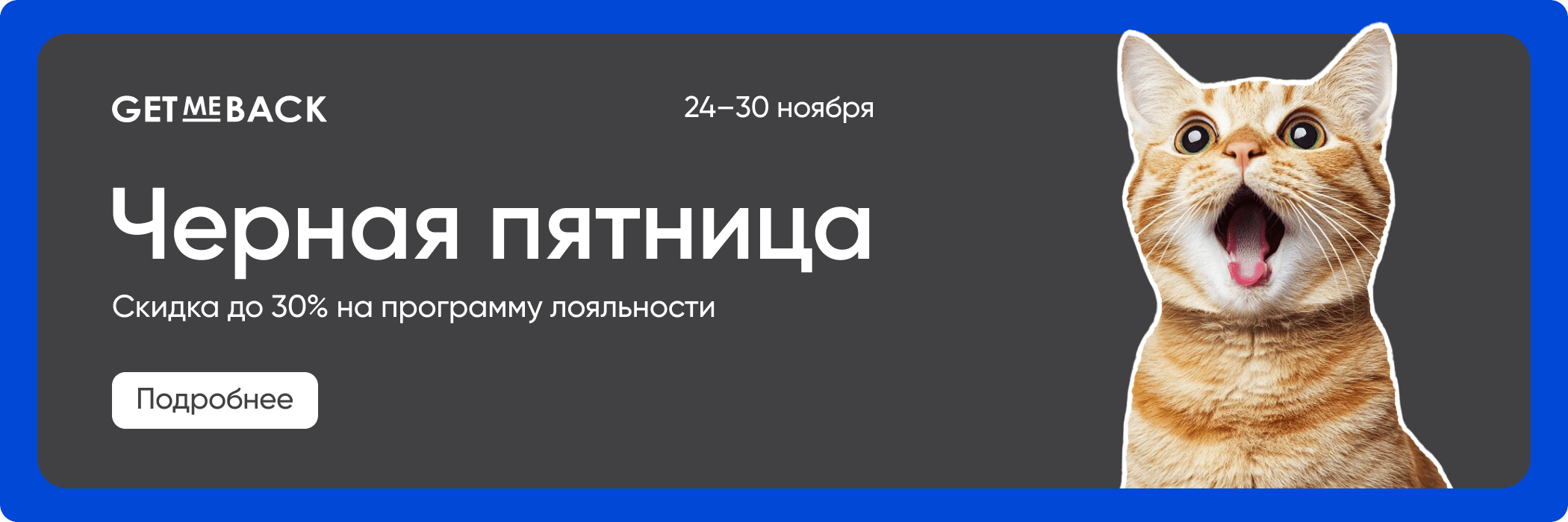 Скидка до 30% в черную пятницу!